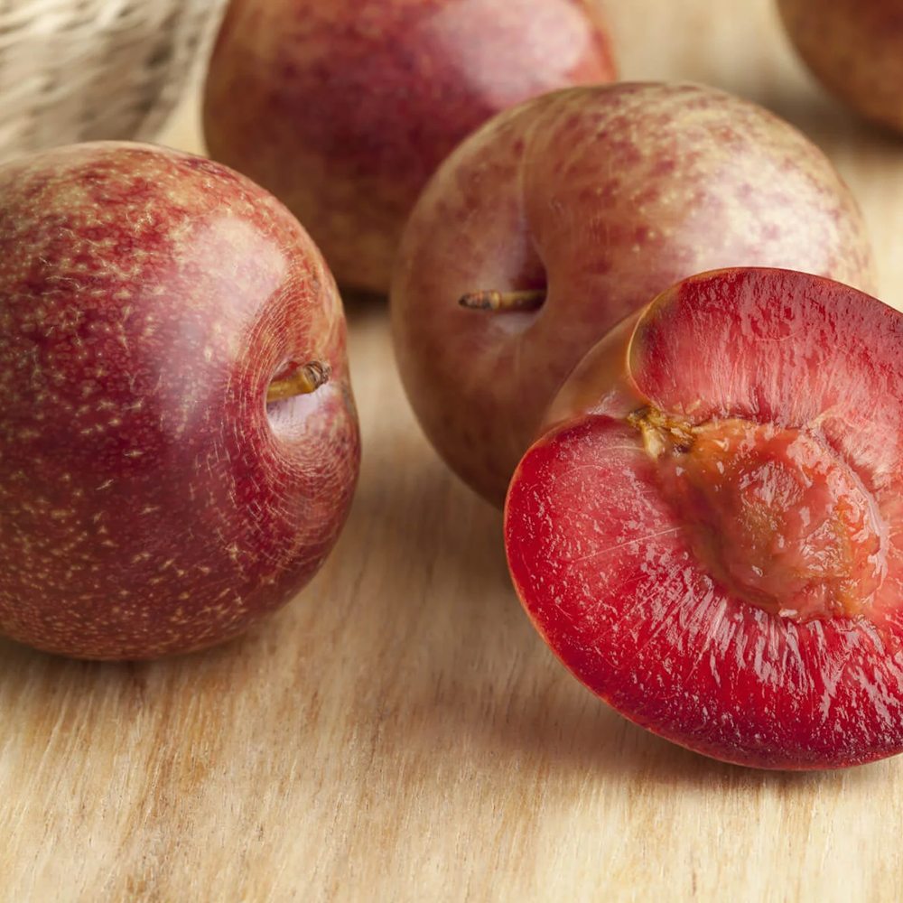 Слива Dapple Dandy (Prunus domestica), със сладко-кисели двуцветни плодове, на плод от 2-та година