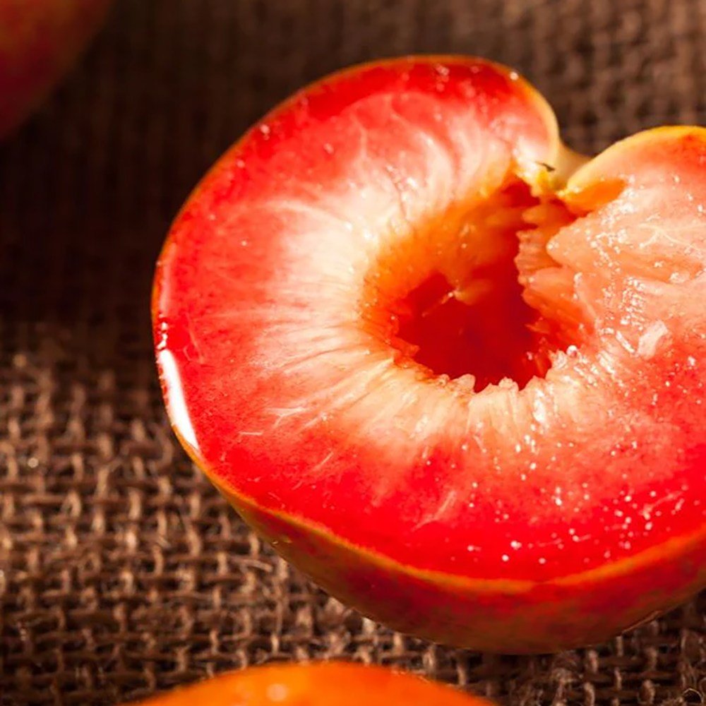 Слива Dapple Dandy (Prunus domestica), със сладко-кисели двуцветни плодове, на плод от 2-та година