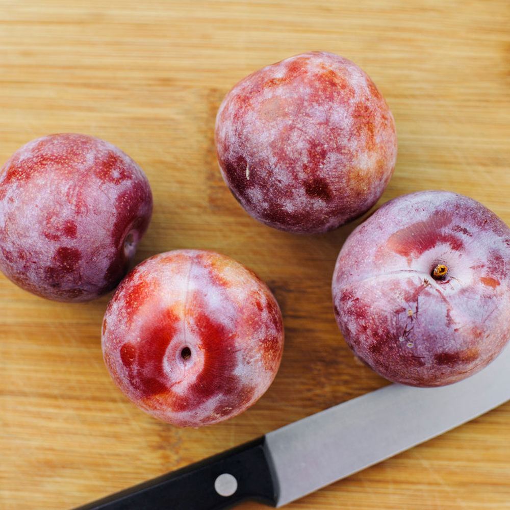 Слива Dapple Dandy (Prunus domestica), със сладко-кисели двуцветни плодове, на плод от 2-та година