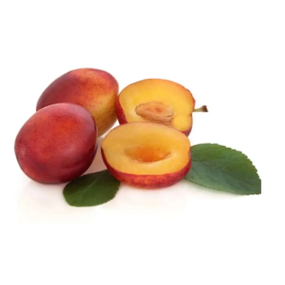 Piersic (Prunus Persica) Cotogno, cu fructe galben, an 2 pe rod