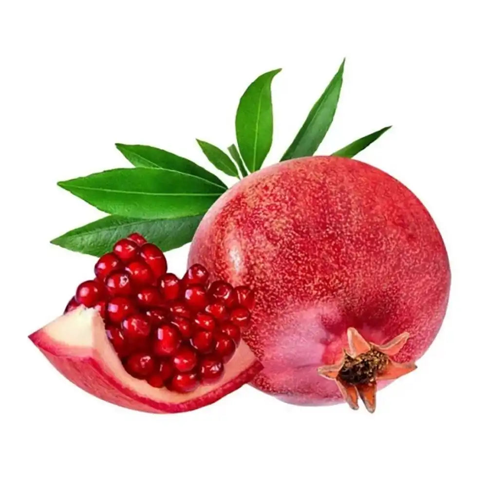 Rodiu Arbust (Punica Granatum) Mollar Del Elche, cu fructe mari rosii-rubinii, an 3 pe rod