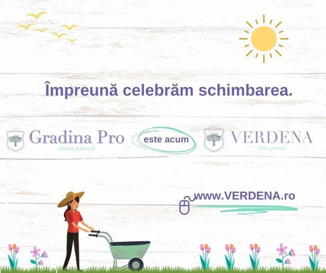 GradinaPro devine VERDENA - Plante exceptionale pentru gradini exceptionale. 💜 - VERDENA