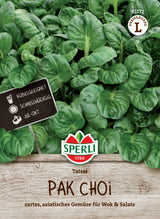 Seminte Pak Choi Tatsoi