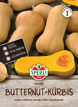 Seminte dovleac Butternut Hunter
