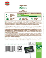 Seminte morcovi Rotin cu banda
