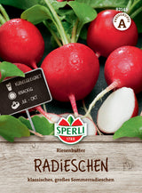 Seminte ridiche Riesenbutter