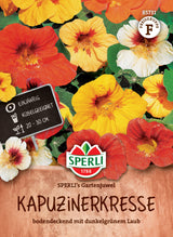 Seminte condurul doamnei SPERLI Gartenjuwel