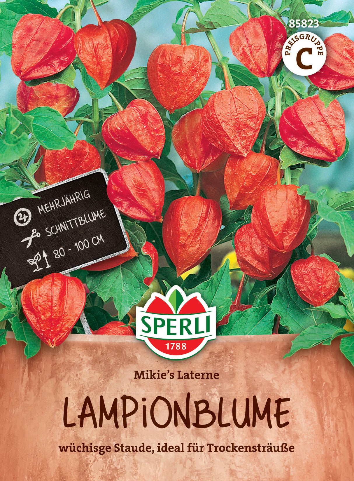Seminte floare lampion Mikie's Laterne