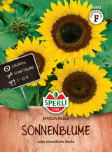 Seminte floarea soarelui SPERLI Helios