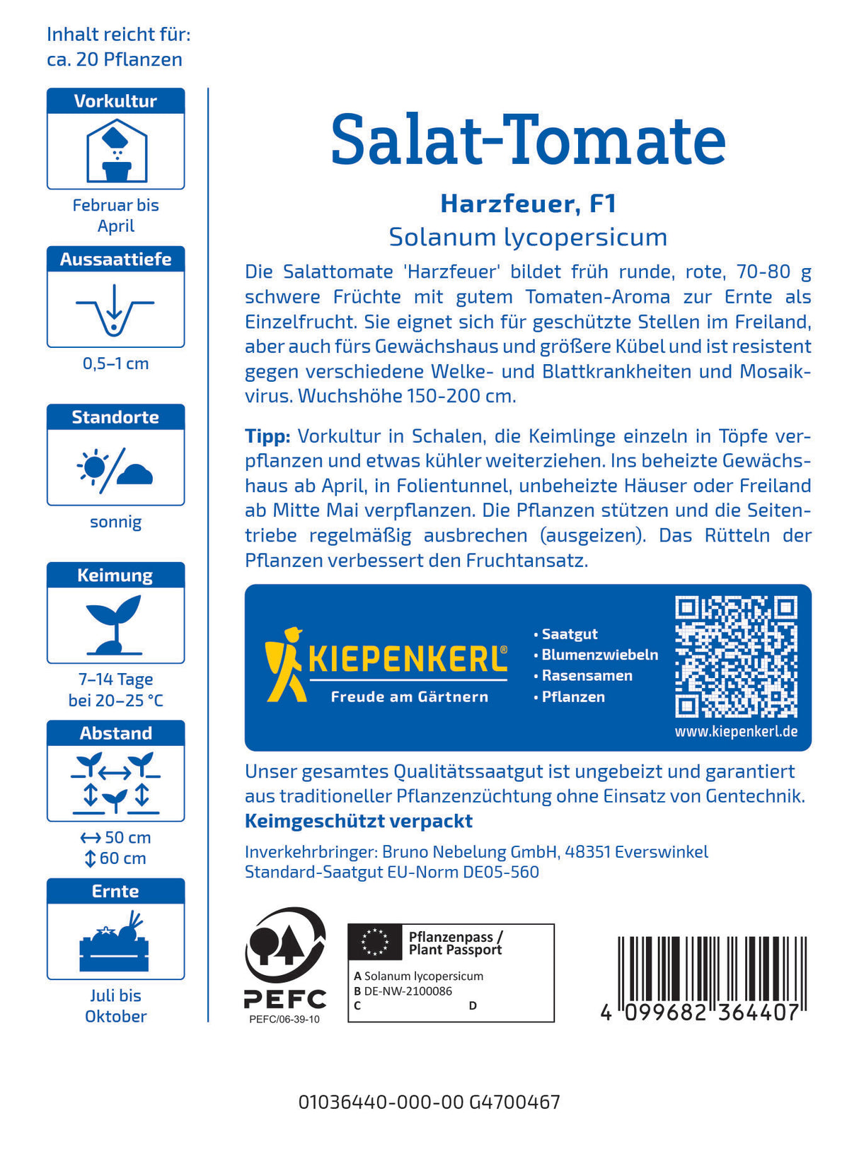 seminte rosii salata harzfeuer
