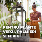 Pamant Compo Sana pentru plante verzi si palmieri 5 litri cu fertilizare 12 saptamani