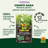 Pamant Compo Sana pentru plante verzi si palmieri 10 litri cu fertilizare 12 saptamani