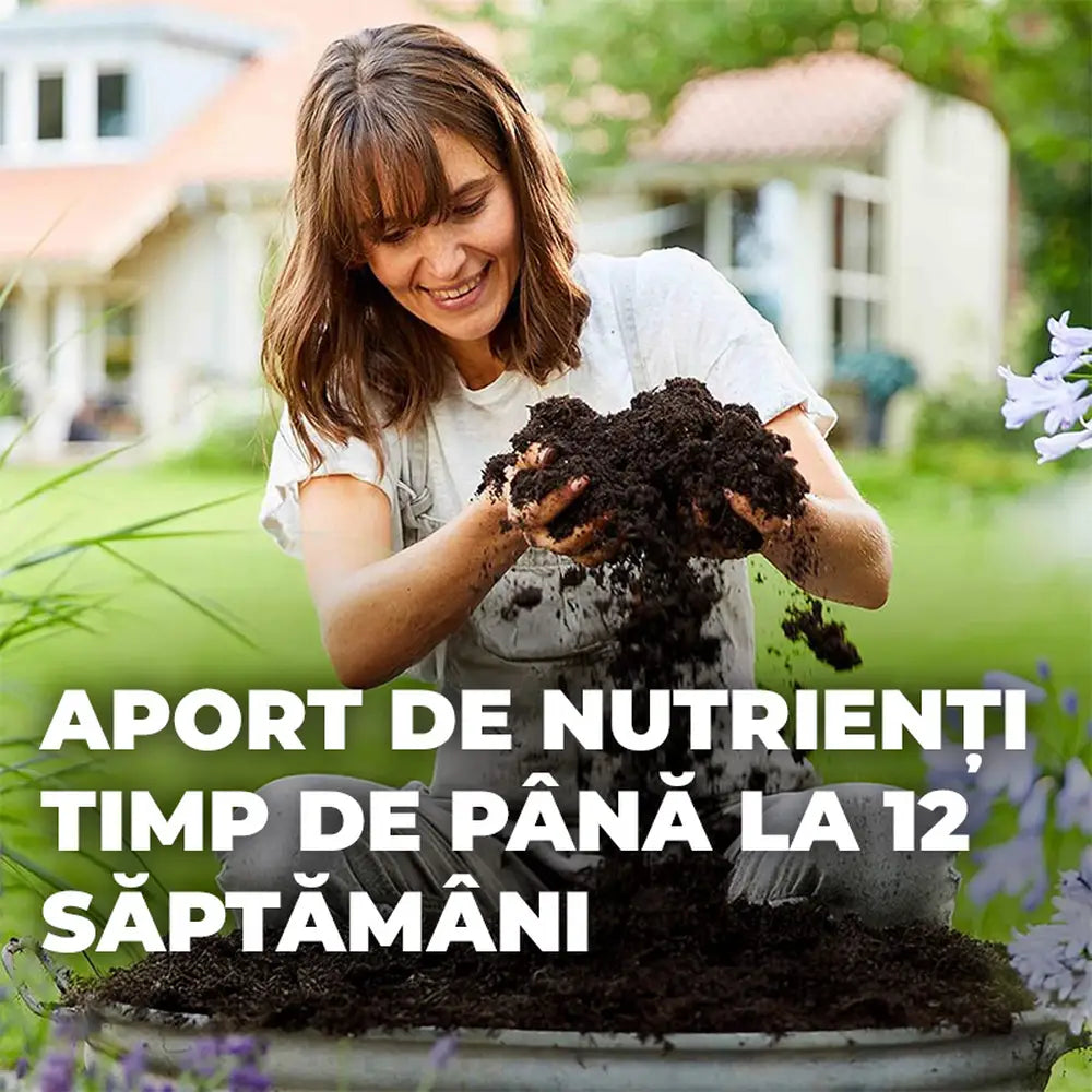 Pamant Compo Sana pentru plante verzi si palmieri 10 litri cu fertilizare 12 saptamani