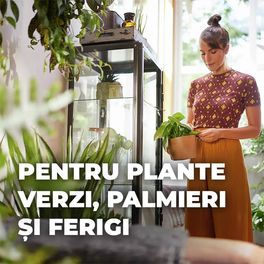 Pamant Compo Sana pentru plante verzi si palmieri 10 litri cu fertilizare 12 saptamani