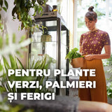 Pamant Compo Sana pentru plante verzi si palmieri 10 litri cu fertilizare 12 saptamani