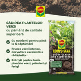 Pamant Compo Sana pentru plante verzi si palmieri 10 litri cu fertilizare 12 saptamani