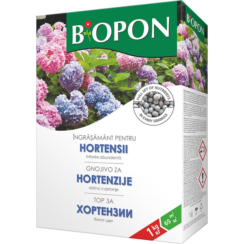 Ingrasamant granulat BIOPON pentru hortensii, inflorire intensa si rezistenta iarna, 1 kg