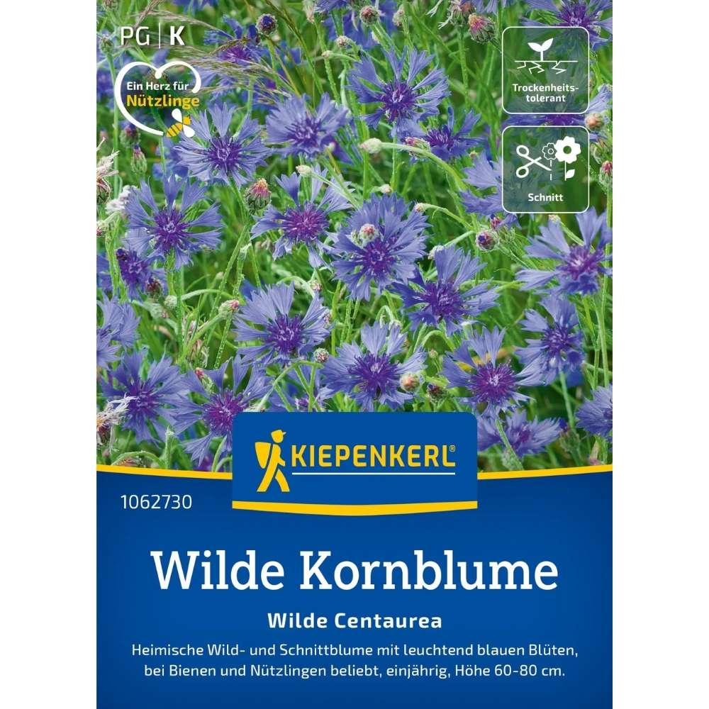 Seminte de albastrele salbatice – varietate Blaue Zyane, ajunge pentru 100 Plante