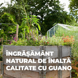 Ingrasamant Organic Natural cu Guano, pentru fructe si legume, 1 kg, COMPO