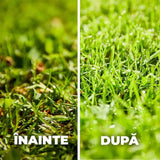 Тор за Ливада Compo, 4 kg за 160 m², Против мъх, Финни гранули, Ефект 6 седмици