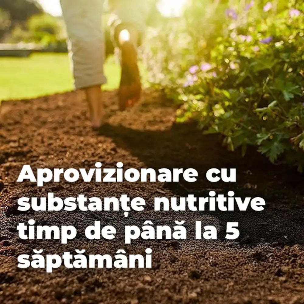 Pamant universal organic Compo pentru plante de interior legume fructe si ierburi aromatice 7.5 litri fara turba