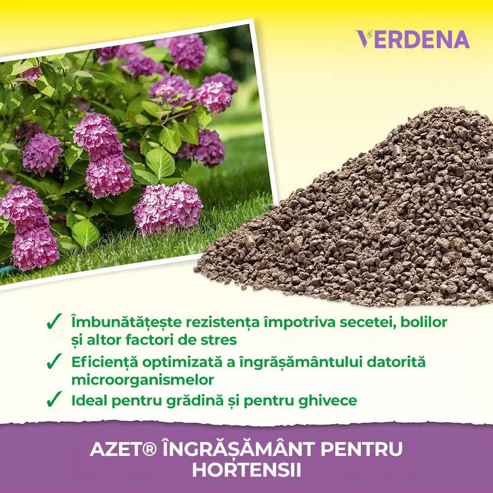 Органичен тор Neudorff Azet за Хортензии, Камелии и Бугенвилия, 1.75 kg – Интензивно Цъфтене и Здрави Корени