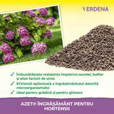 Органичен тор Neudorff Azet за Хортензии, Камелии и Бугенвилия, 1.75 kg – Интензивно Цъфтене и Здрави Корени