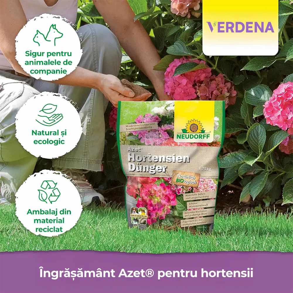 Органичен тор Neudorff Azet за Хортензии, Камелии и Бугенвилия, 1.75 kg – Интензивно Цъфтене и Здрави Корени