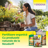 Органичен тор Neudorff Azet за Хортензии, Камелии и Бугенвилия, 1.75 kg – Интензивно Цъфтене и Здрави Корени