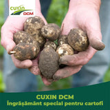Ingrasamant organic Cuxin DCM pentru cartofi 1.5 kg cu tehnologie Minigran pentru 30 mp