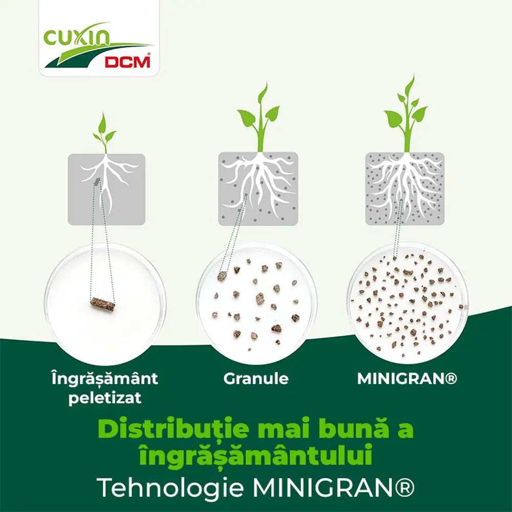 Ingrasamant special Cuxin DCM pentru conifere si gard viu 3 kg cu tehnologie Minigran si actiune de lunga durata
