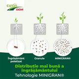 Ingrasamant special Cuxin DCM pentru conifere si gard viu 3 kg cu tehnologie Minigran si actiune de lunga durata
