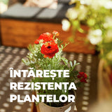 Ingrasamant Lichid pentru Plante de Balcon si in Ghiveci 1.3 l, COMPO