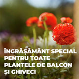 Ingrasamant Lichid pentru Plante de Balcon si in Ghiveci 1.3 l, COMPO