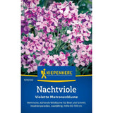 Seminte de violete de noapte – Matronenblume violet, parfumate, ajunge pentru 50 Plante