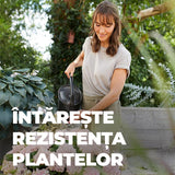 Ingrasamant Lichid pentru Hortensii si Camelii, 1 l, cu Extra Fier, COMPO