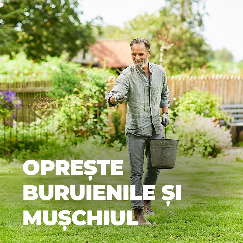 Ingrasamant Organic pentru Gazon impotriva Buruienilor si a Muschiului, 3 kg pentru 120 m², Efect de Lunga Durata, COMPO