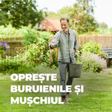Ingrasamant Organic pentru Gazon impotriva Buruienilor si a Muschiului, 3 kg pentru 120 m², Efect de Lunga Durata, COMPO