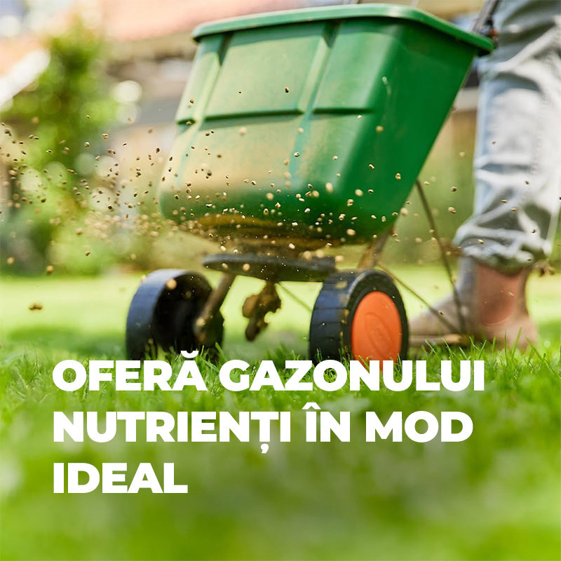 Ingrasamant Organic pentru Gazon impotriva Buruienilor si a Muschiului, 3 kg pentru 120 m², Efect de Lunga Durata, COMPO