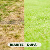 Ingrasamant Organic pentru Gazon impotriva Buruienilor si a Muschiului, 3 kg pentru 120 m², Efect de Lunga Durata, COMPO