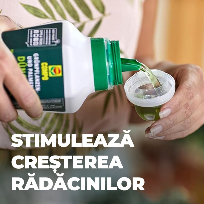 Ingrasamant organic lichid pentru plante verzi si palmieri COMPO, ingrediente 100% naturale, 500 ml