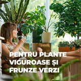 Ingrasamant organic lichid pentru plante verzi si palmieri COMPO, ingrediente 100% naturale, 500 ml