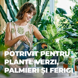 Ingrasamant organic lichid pentru plante verzi si palmieri COMPO, ingrediente 100% naturale, 500 ml