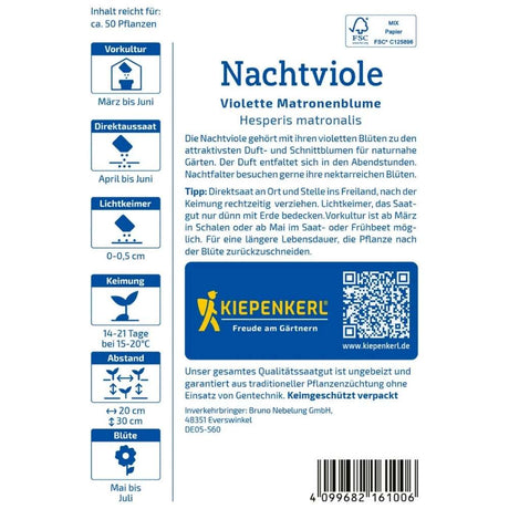 Seminte de violete de noapte – Matronenblume violet, parfumate, ajunge pentru 50 Plante