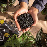 Substrat Mineral LECHUZA Blackstonepon 12 l, 100% fara turba, culoare neagra deosebita, cu ingrediente naturale