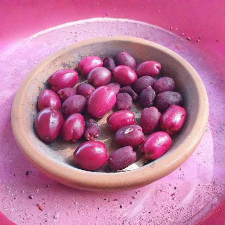 Red Lili Pili (Syzygium oleosum) – вечнозелен храст с декоративни червени листа и ядливи плодове