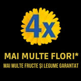 Ingrasamant lichid universal Westland Boost 1, 4x mai multe flori si productie sporita, 1 l