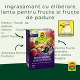 Ingrasamant granulat COMPO pentru fructe de padure si pomi fructiferi, efect de lunga durata 6 luni, 2 kg