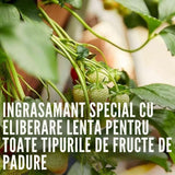 Ingrasamant granulat COMPO pentru fructe de padure si pomi fructiferi, efect de lunga durata 6 luni, 2 kg