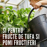 Ingrasamant granulat COMPO pentru fructe de padure si pomi fructiferi, efect de lunga durata 6 luni, 2 kg
